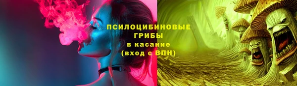 СК Михайлов