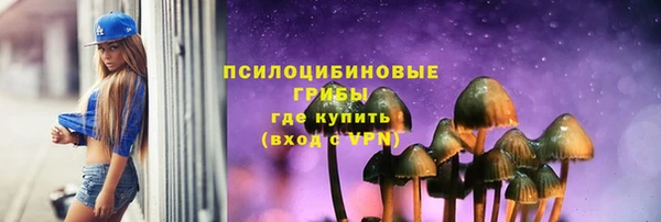 амф Михайловск