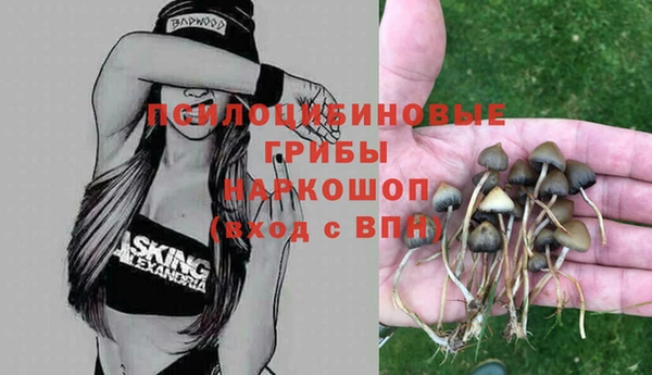 амф Михайловск