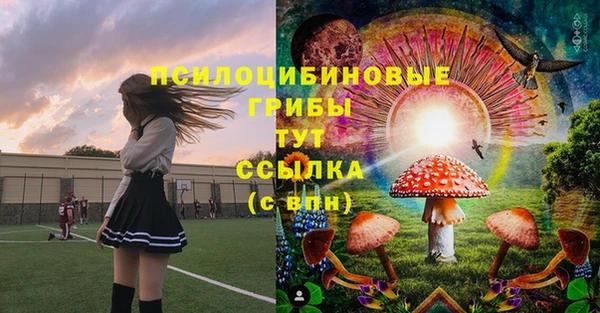 СК Михайлов