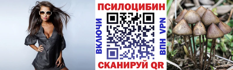 darknet как зайти  Чекалин  Галлюциногенные грибы Psilocybe 